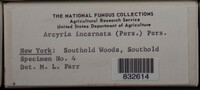 Image Associated With the Occurence